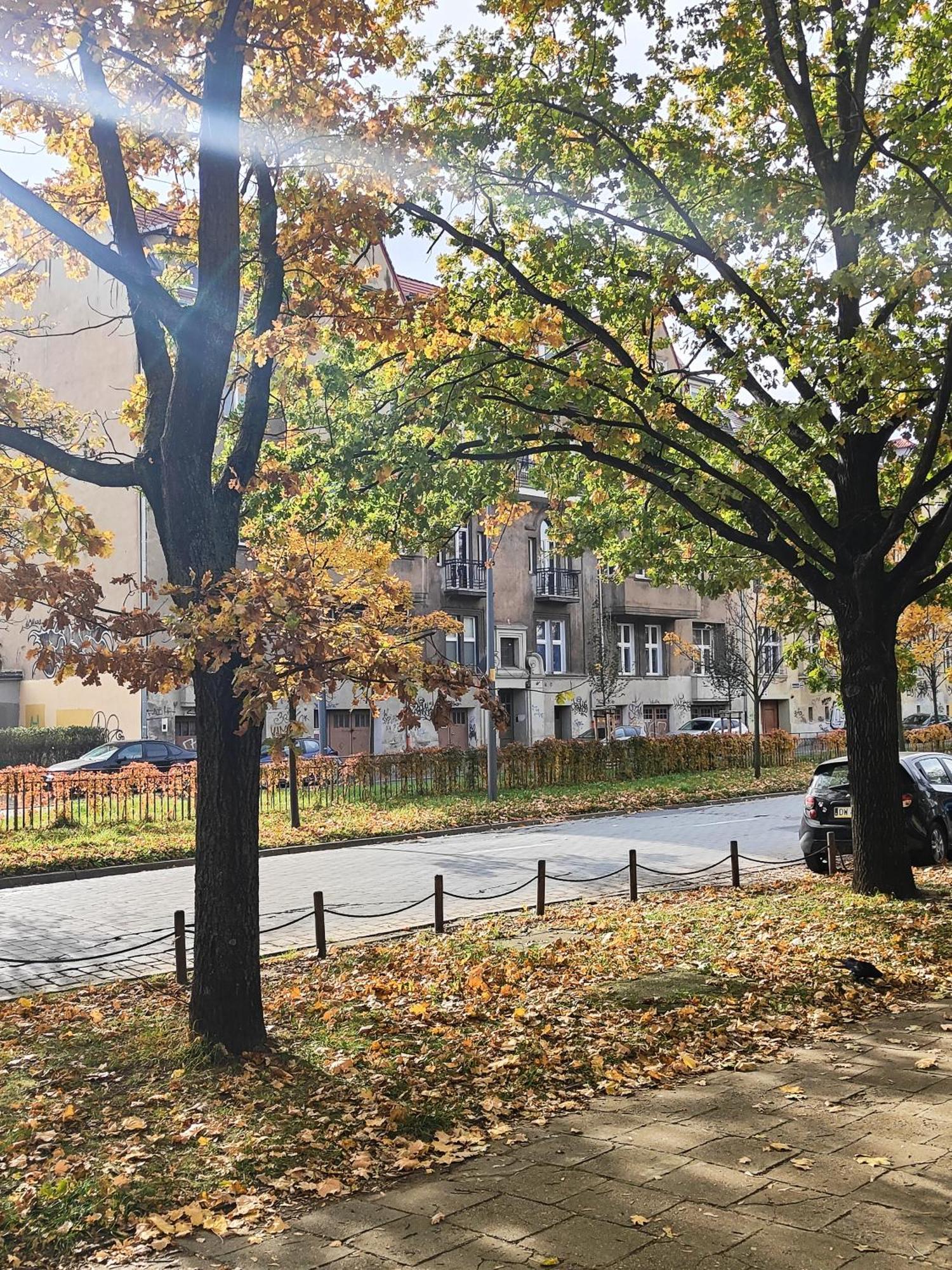 Apartament Stylowa Kamienica Breslavia Exterior foto